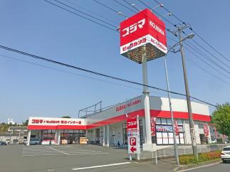 ｺｼﾞﾏ×ﾋﾞｯｸﾞｶﾒﾗ 港北ｲﾝﾀｰ店