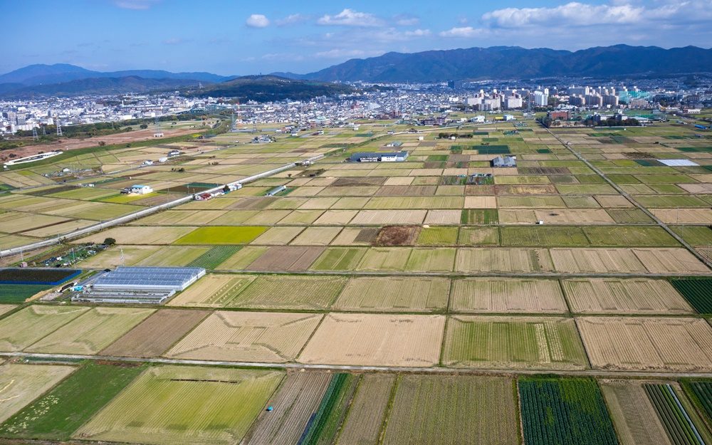 市街化調整区域の土地