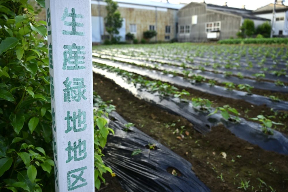 生産緑地の農地転用手続きは複雑