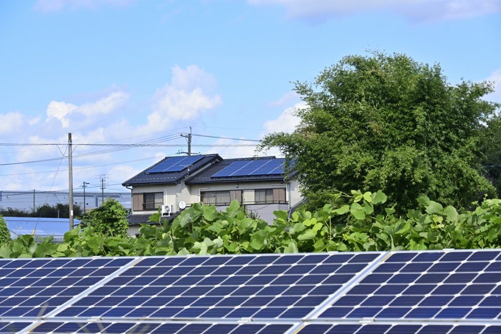 田んぼを太陽光発電として土地活用する