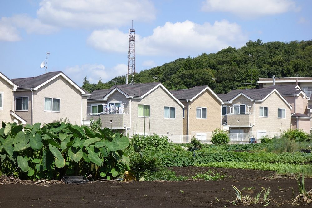 農地活用の判断基準