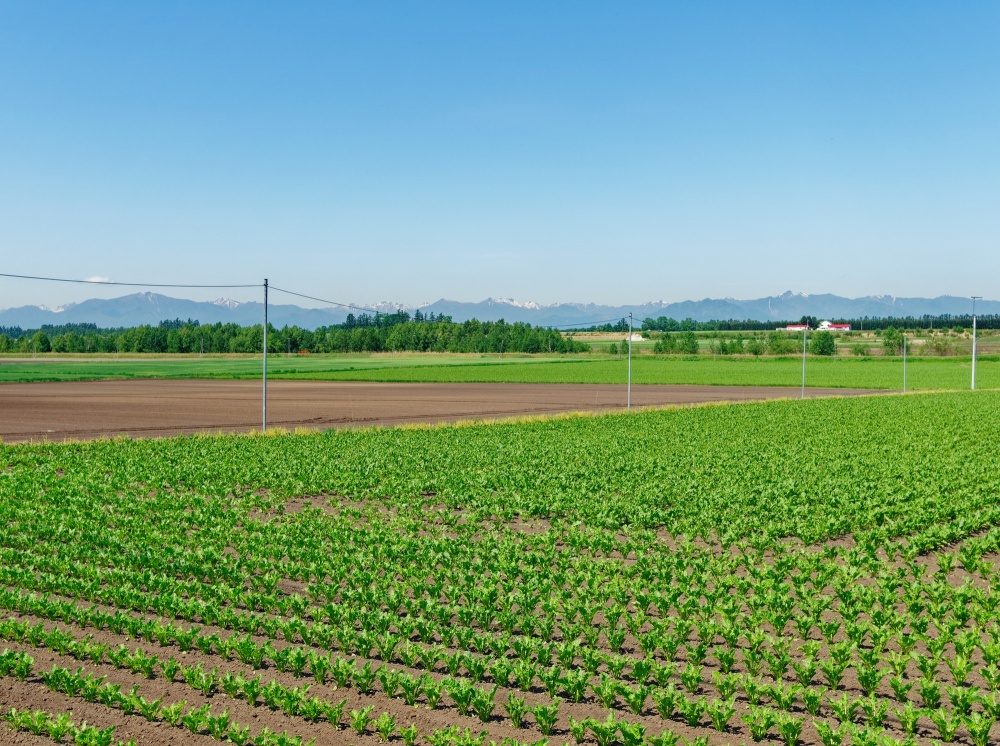 農地転用できない理由